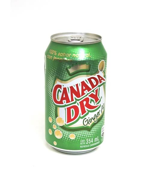 Ginger Ale Lata 354 ML