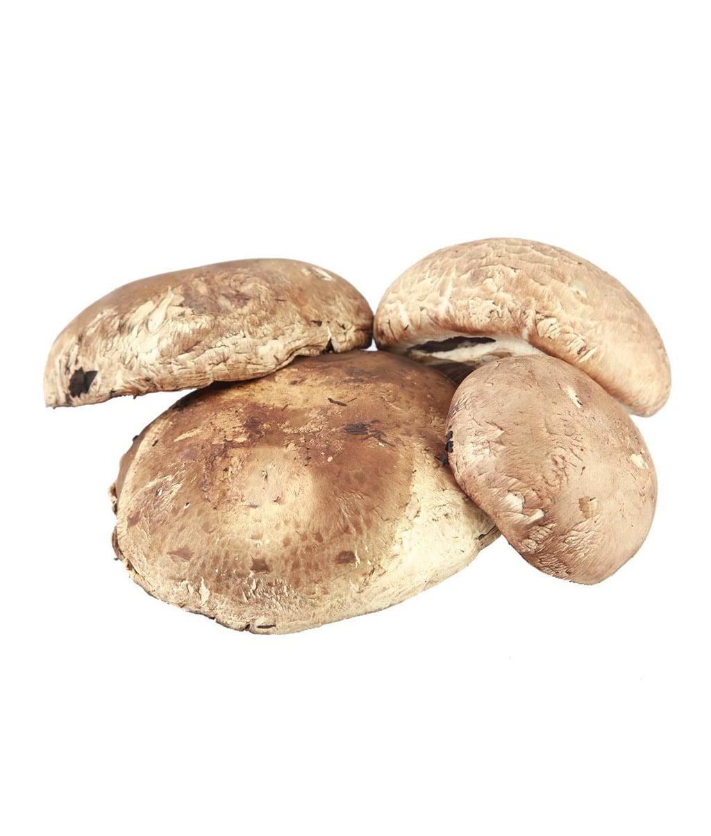 Hongo Portabello Reb Bja 4 OZ Bagsa