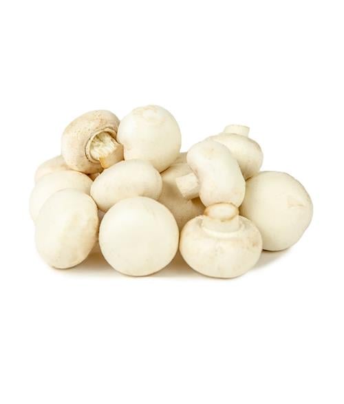 Hongo Blanco 4 OZ Bagsa