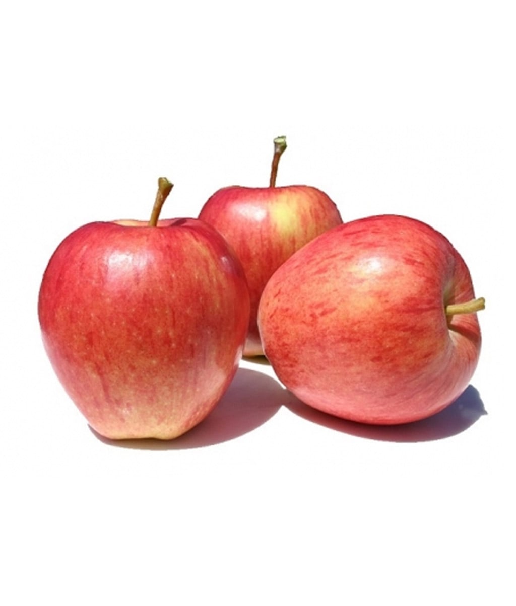 Manzana Royal Gala 88 Ct APPRG088