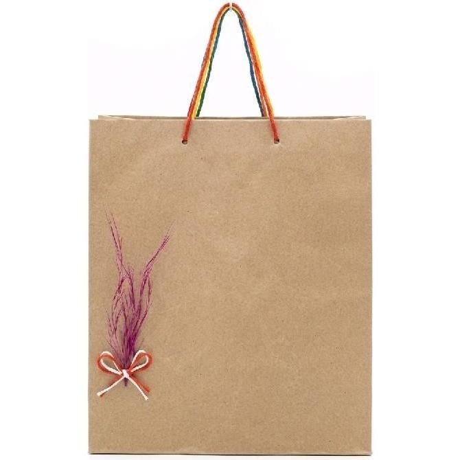 Bolsa de Regalo Kraft 9.5X10.9X6.4