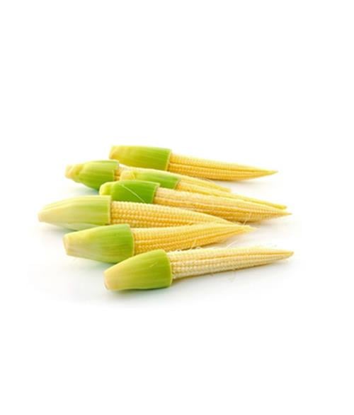 Chilotes Docena Bolsa
