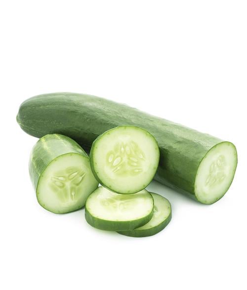 Pepino UND