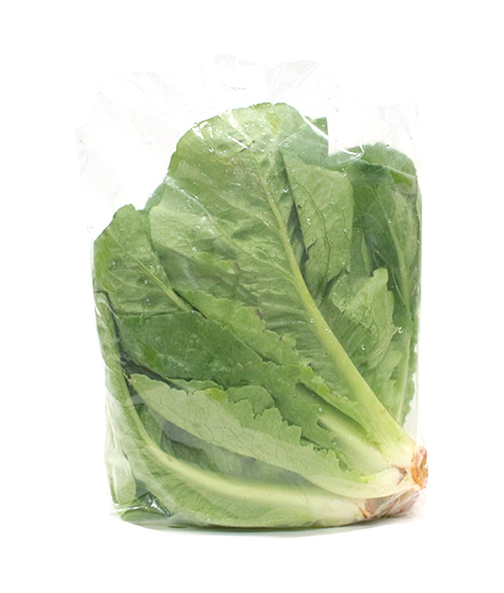 Corazon de Lechuga Romana