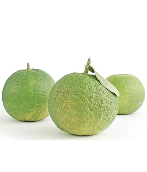 Naranja Agria UND