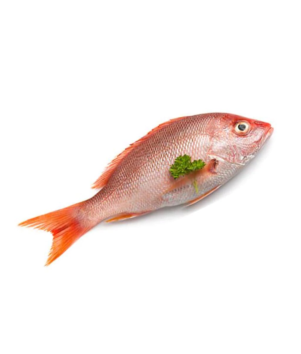 Pargo Rojo Entero 1/2 . 1 Libra