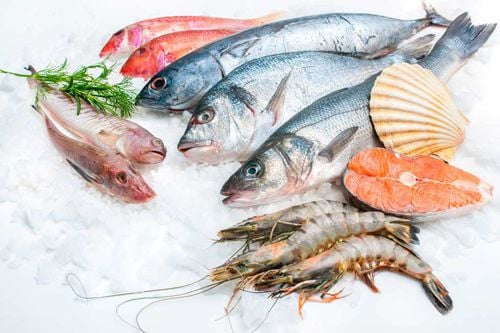 Pescado y Mariscos