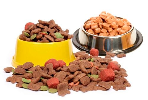Alimentos para Mascotas
